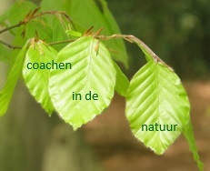 Coachen in de natuur